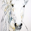 Horse_1
