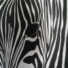 Zebra_Pop_Art